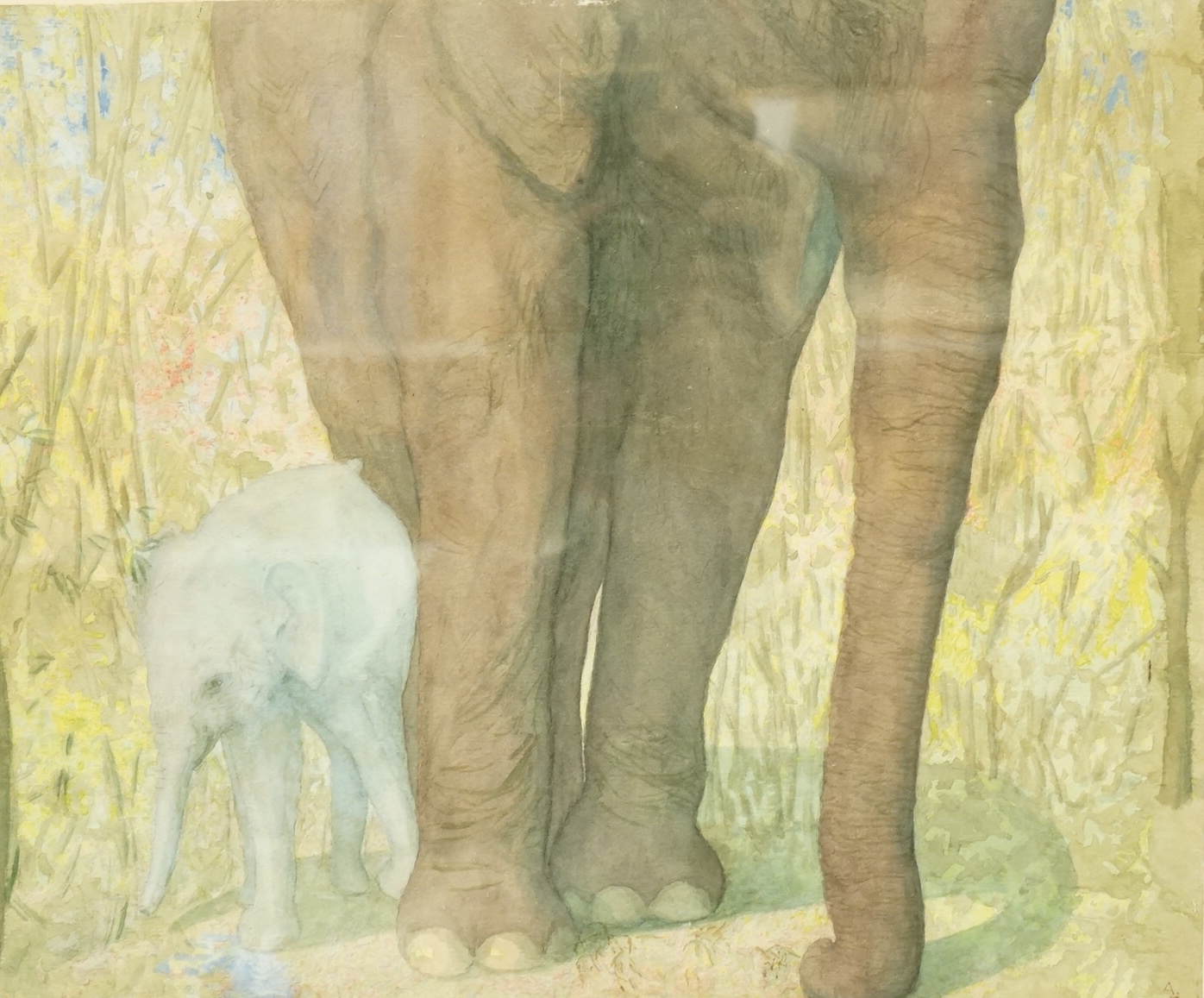 AFM, Study of two elephants, monogrammed, watercolour, 27 x 32cm